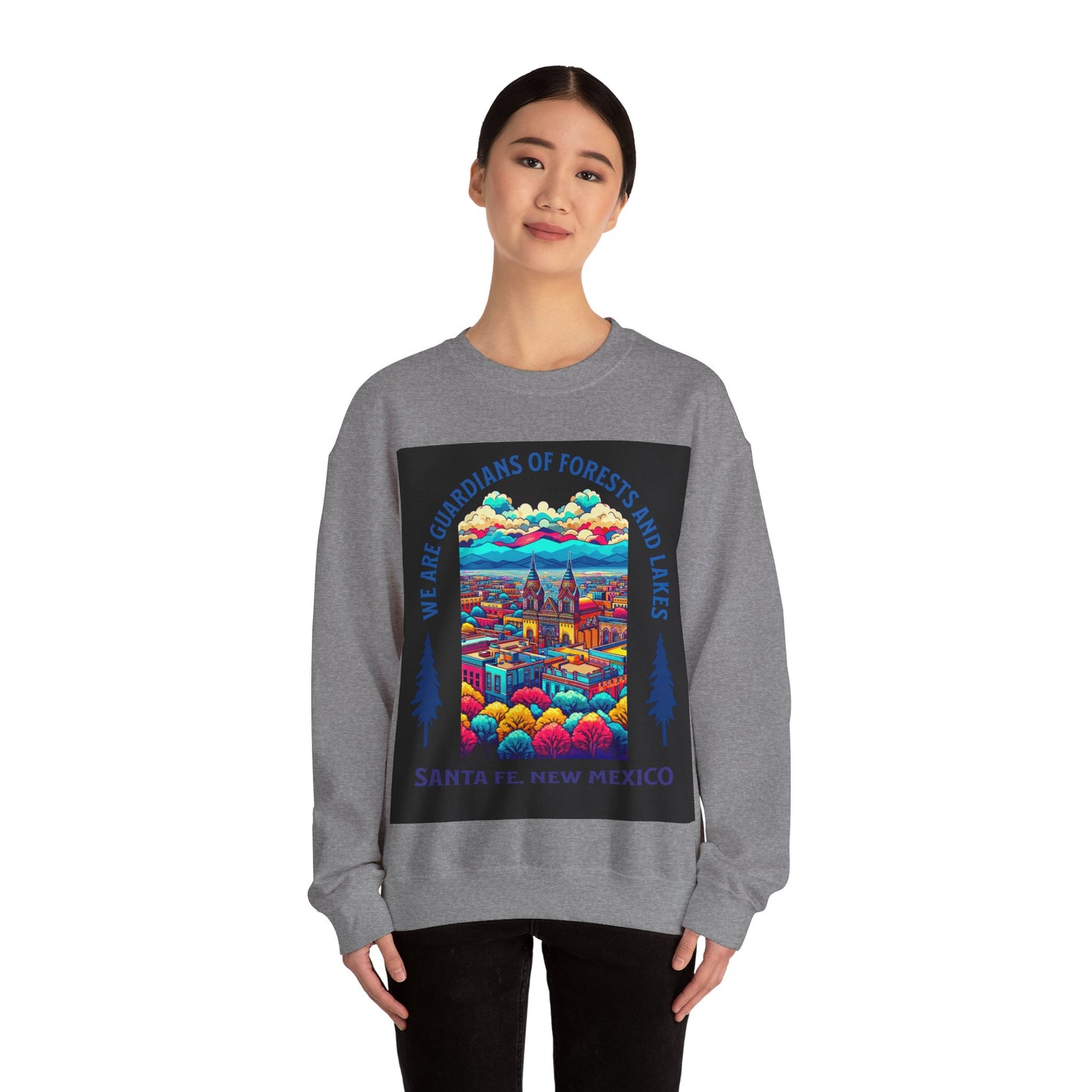 Santa Fe New Mexico sweatshirt, New Mexico Graphic Sweatshirt