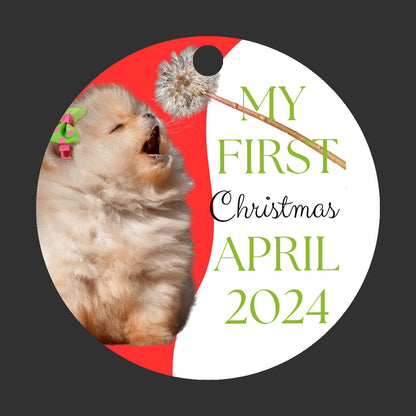 Pomeranian 1st Christmas Ornament,