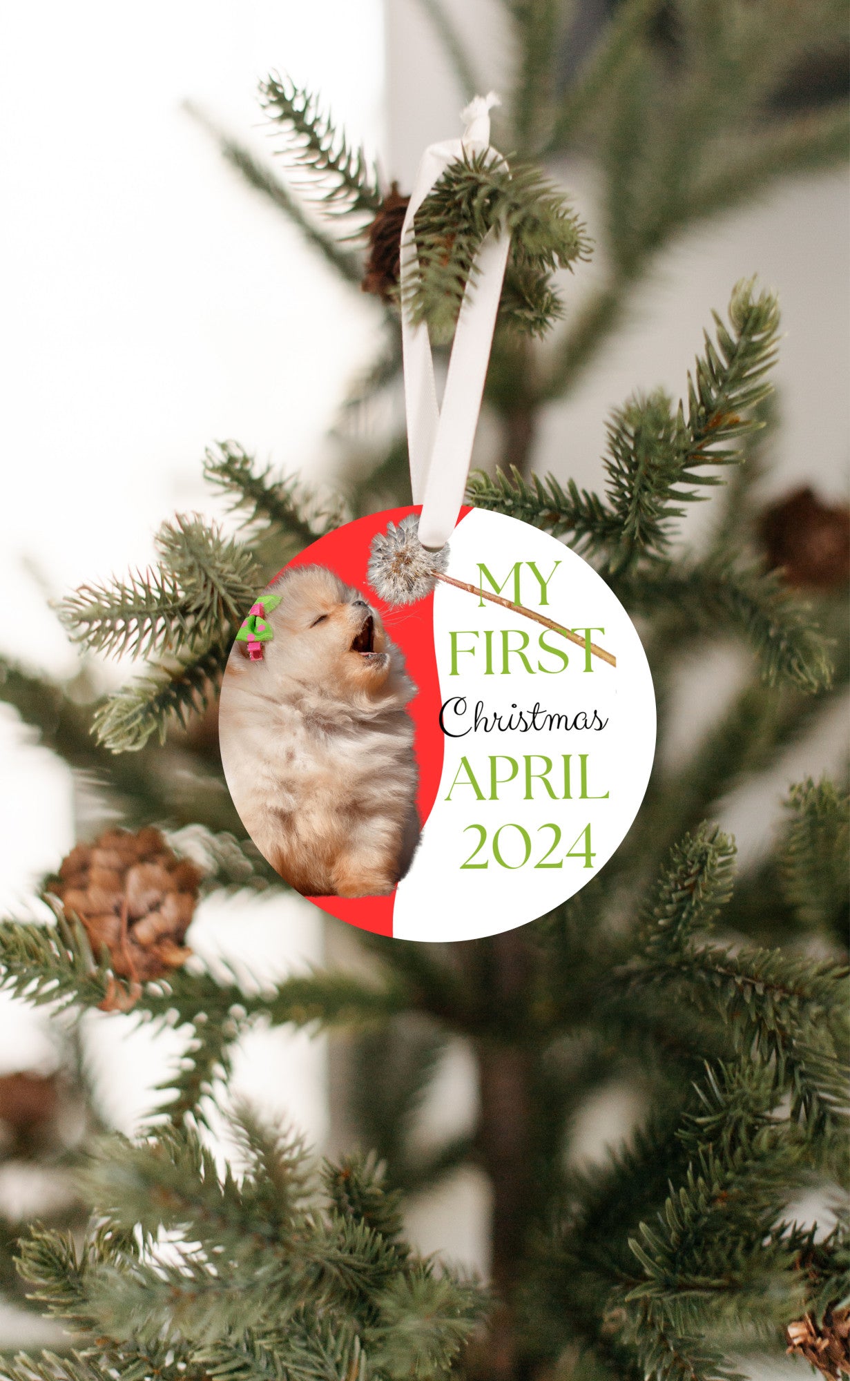 Pomeranian 1st Christmas Ornament,