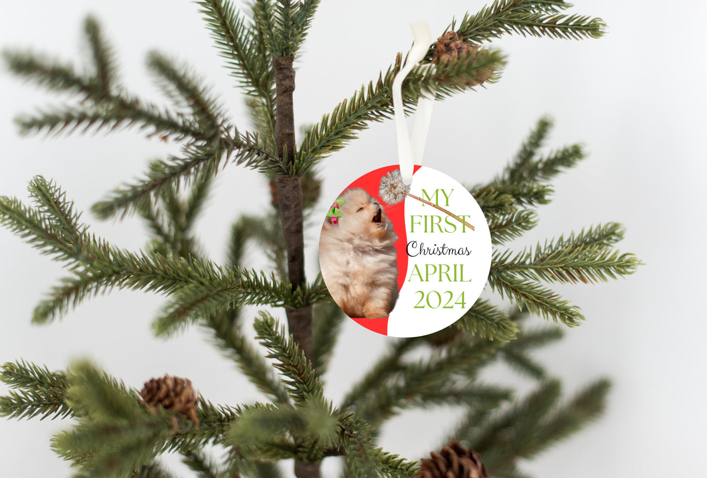 Pomeranian 1st Christmas Ornament,